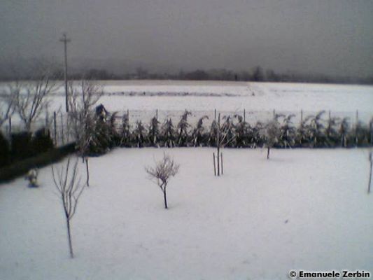 Clicca per immagine full size
 ============== 
Snowy winter
Gennaio 2005: i campi dietro casa mia coperti dalla neve.
